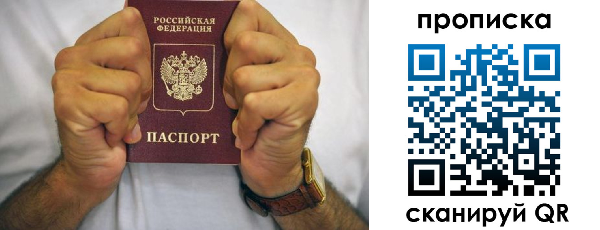 прописка в Камышлове