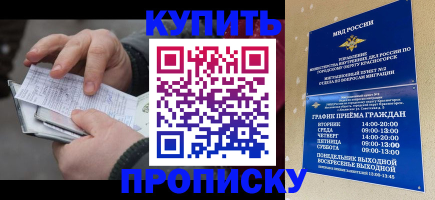 временная регистрация недорого в Камышлове